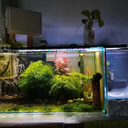 30cm 12inch Aquarium LED WRGB Marine Light Intelligent Touch Control Fish Tank Aquaculture Decoration Light With Bracket