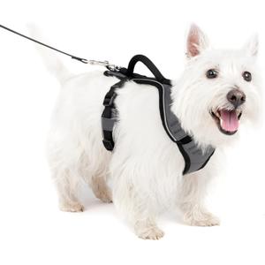 PetSafe EasySport Dog Harness - Padded, Adjustable Dog Harness with Control Handle and Reflective Piping - Great for Active Dogs - from The Makers of The Easy Walk Harness - Small, Charcoal
