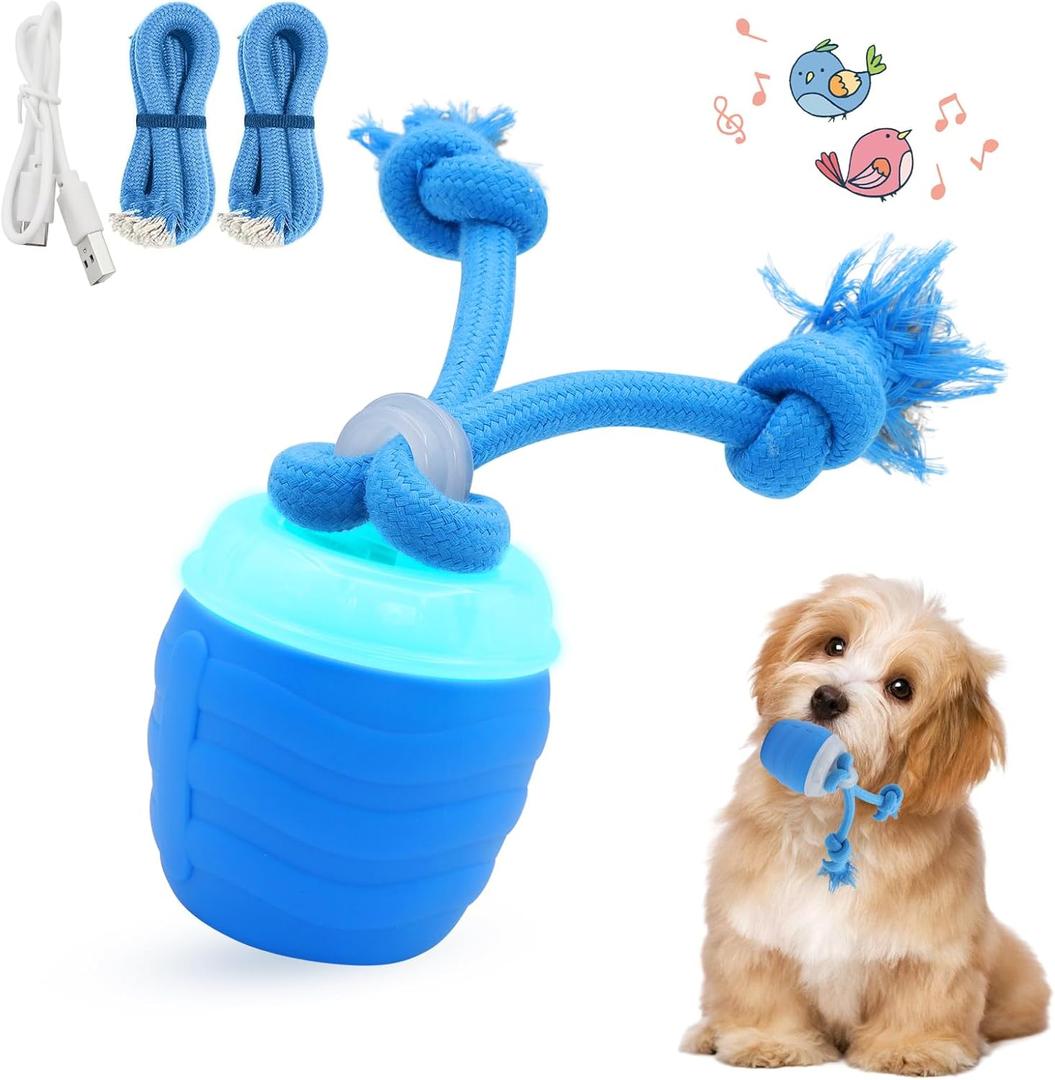 Interactive Dog Toy Ball,Automatic Moving Dog Ball with Bird Sound & Bluetooth Music,3 Play Modes Self Rolling Dog Ball,USB Rechargeable Toys for Boredom Small Medium Dogs,Not for Aggressive Chewers.