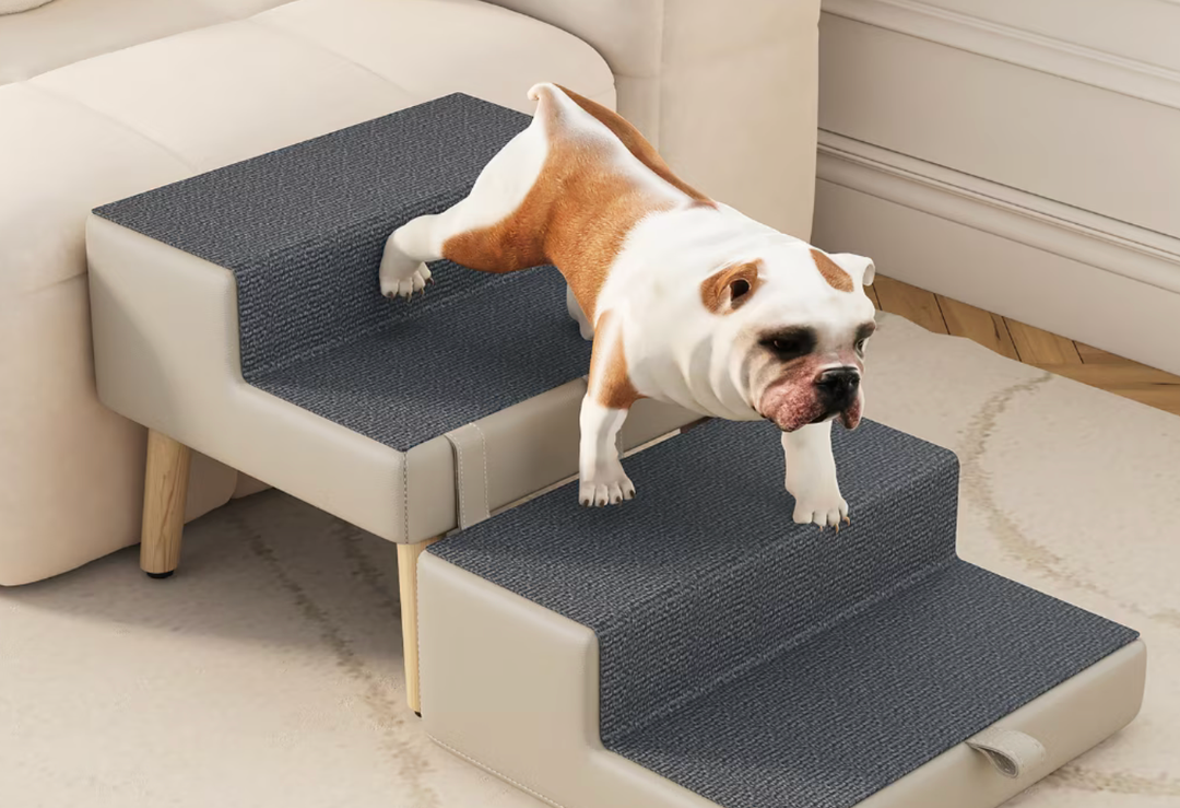 Dog Ramps in Dogs  Size: 14"