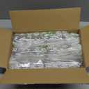 TOSSWARE POP 9oz Flute, Premium Quality, Recyclable, Unbreakable & Crystal Clear Plastic Champagne Glasses,Flute , 12 Count (Pack of 1)