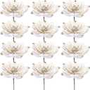 12 Pcs Large Glitter Christmas Artificial Magnolia Flowers 9.4 Velvet Christmas Poinsettia Ornaments Picks Magnolia Flowers for Xmas Tree Wreath Wedding Garland Decorations (Apricot)