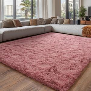 Blush Fluffy Area Rugs for Living Room, Soft Shaggy Carpets for Living Room, Upgrade Anti-Skid Fuzzy Rugs for Kids' Room, Perfect Decor for Modern Home 5x7 Feet