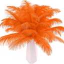 THARAHT Orange Ostrich Feathers 24pcs Natural Bulk 10-12Inch 25cm-30cm for Crafts Wedding Party Centerpieces Halloween and Home Decoration Feathers