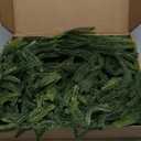 N&T NIETING 9FT Christmas Norfolk Pine Garland Real Touch Pine Artificial Garlands Faux Greenery Garland Winter Christmas Garland for Table Mantle Fireplace Indoor Outdoor Xmas Decorations (1 Pcs)