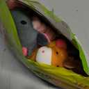 Fun and Educational Animal Fridge Magnets for Kids -Soft Plush Magnetic Animal Characters for Learning and Play, Fridge Toys for Toddlers 1-3, Board Magnets, Locker Buddies