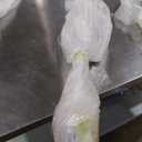 PENN 10’ Pursuit IV 2-Piece Fishing Rod and Reel (Size 4000) Surf Spinning Combos, 10’, 2 Graphite Composite Fishing Rod with 5 Reel, Durable and Lightweight, Black/ Silver