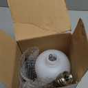 Tool Daily Foam Cannon with Dual Connector Accessory, 1/4 Inch Quick Connector, 5 Pressure Washer Nozzle Tips, 1 Liter