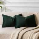 JUSPURBET Decorative Pillow Covers Set of 2 Velvet Throw Pillow Covers for Couch Sofa Bed Soft Lumbar Cushion Covers with Hidden Zipper for Living Room Home Decor, Army Green, 14x24 inch