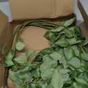 HyeFlora 5PCS Artificial Eucalyptus Leaves Stem Plants for Spring Decor, 32.7 inch Fake Leaves Greenery Branches Green Shrubs Silk Faux Foliage DIY Stems for Festival Home Kitchen Farmhouse(Green)