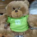 Teddy bear