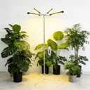 Grow Light for Indoor Plants, Full Spectrum Halo Growing lamp with Detachable Base, 15-62 Inches Height Adjustable Dsektop and Standing Plant Growing Lamps, 8/12/16H Timer, 10 Dimming, Automatic Timer