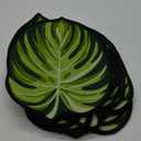 Tinideya 12 Pcs Kids Carpet Circle Seats for Class 16 Inch Round Classroom Rug Floor Cushions Soft Teacher Preschool Educational Mat Non Slip Christmas School Learning Playing Areas(Leaf)