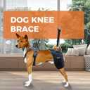 Dog Hip Support Brace - Adjustable Dog Leg Brace for Hip Dysplasia/Arthritis/Pain Relief, Warm & Breathable Luxating Patella Stabilizer, Post-Surgery Recovery(Size XXL)