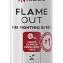 Kidde Flame Out Fire Spray, Extinguishing Aerosol for Home Use, Kitchens, Dorms, Apartments, Compact, Portable & Easy to Use, Non-Toxic, 17.6 oz 1 Pack