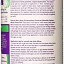 Rockwell Labs - CXID032 - Cimexa Dust - Insecticide - 4 oz (4 Ounce (Pack of 1))