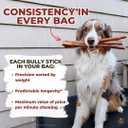 Bully Bunches Premium 12 Inch Standard Odor Free Bully Sticks for Small & Medium Dogs - Consistently Sized, Long Lasting Chews for Oral Care - All Natural Beef Dog Treats, (5 Pk)
