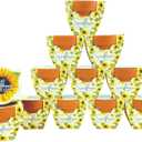 BUZZY Seeds All-in-One Sunflower Mini Terracotta Pot Grow Kits 12-Pack, Indoor Mini Garden Seed Starter, Grow Your Own Vibrant Flowers, DIY Plant Project, Gardening Gift, Party Favors