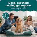 FurHaven Cooling Gel Dog Bed for Large Dogs, Comfort Sofa Bed with Cool Gel-Top Foam with a Solid Orthopedic Foam Base for Joint Support, Washable Cover, Jumbo XL, Plush & Velvet, Celadon Green.