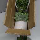 Winlyn Set of 3 Mini Potted Succulents Artificial String of Pearls Aloe Hops Succulent Plants in Gray Pots for Gifts Table Shelves Windowsill Office Desk Indoor Greenery Decorations Wedding Favors