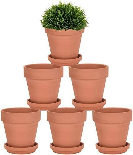 Riseuvo 5 Inch Terra Cotta Pots with Saucer - 6 Pack Clay Flower Pots with Drainage, Great for Plants, Crafts, Wedding Favor (5 inch)