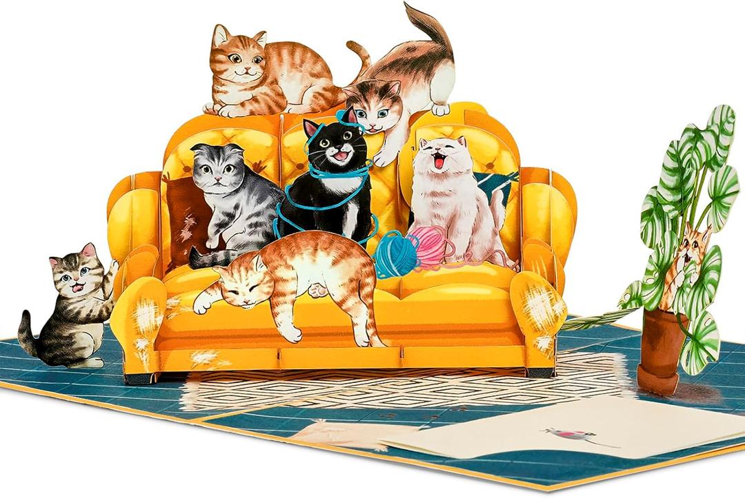 2 x Lovely Funny Cats Pop Up Card, Crazy, Humorous Cats on Sofa, Living Room, Cat Themed, 3D Greeting Card, Gift for Birthday, Valentines, Mothers Day, 5x7 - Includes Envelope And Message Note