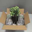 Mkono 3 Pack Small Fake Plants in Black Galvanized Metal Pots Artificial Eucalyptus Plants for Christmas Decorations Shelf Desk Home Farmhouse Room Coffee Table Bathroom Decor