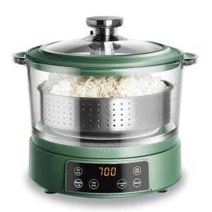 COOK WITH COLOR 3L Glass Mini Low Carb Rice Cooker  Holds 2 Cups Raw/Makes 6 Cups Cooked with Auto Lift Filter Basket, Hotpot & Steamer for Rice, Grains, Digital Panel with Keep Warm, Dark Sage