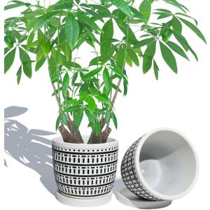 5.8 Inch Boho Plant Pots Indoor - Artisanal Succulent Pots with Drainage Holes and Saucer, Cement Pots for Indoor Plants, Flower Pot with Rubber Pot Feet, Set of 2, Black Lines and Cream White