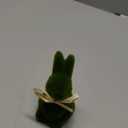 Wshxjzyay Moss Bunny, Easter Flocked Bunny Picks, Green Rabbit, Moss Bunny Decoration for Home Office Table Decor, Party Supplies Gifts for Kids and Friends