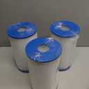 Cryspool Type B Filter Compatible with 29005E, Easy Set Above Ground Pool Filters, 3 Pack