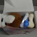 Talkfun Interactive Plush Puppy Toys for 1,2,3 Year Old Boy Girl Gifts, Musical Walking Dog with Leash, Realistic Pet Play Toy for Toddlers 13 Age, Soft Stuffed Electronic Puppy with Accessories (Brown & White)