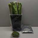 6FT Artificial Dracaena Tree - High-Density Foliage Fake Plant with Black Tall Planter - Faux Yucca Floor Plant for Home Office Decor Indoor