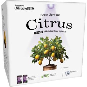 Miracle LED Citrus Tree Starter Grow Light Kit (6.5KK Purple Spectrum Edition 2-Pack)