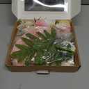 Ling's moment Fake Flowers Box, Faux Artificial Greenery Stems Foam Roses Anthurium Silk Lily Palm Fabic Flower for Centerpieces Bouquet Wedding Vase Floral Decorations, Sorbet Tropical, Mini Combo