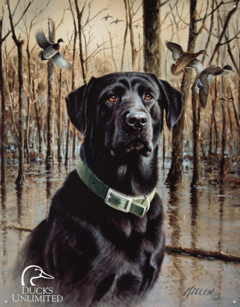 DUCKS UNLIMITED - Great Retrievers Metal Tin Sign 12.5W x 16"H , 13x16
