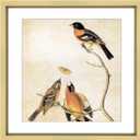 6x6 Picture Frame, Brass Metal Photo Frames with HD Glass, Fits 5x5 with Mat or 6 x 6 without Mat, Display for Wall and Table, 1 Pack