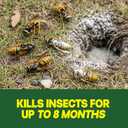 Raid Outdoor Wasp Ground Nest Killer, Dust Insecticide for Outside Household Use on Wasps, Fast-Working, Easy-to-Use and Odorless, 24 oz