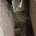 Fontanini by Roman, Stable with Ladder, 7.5" Collection, Nativity Stable