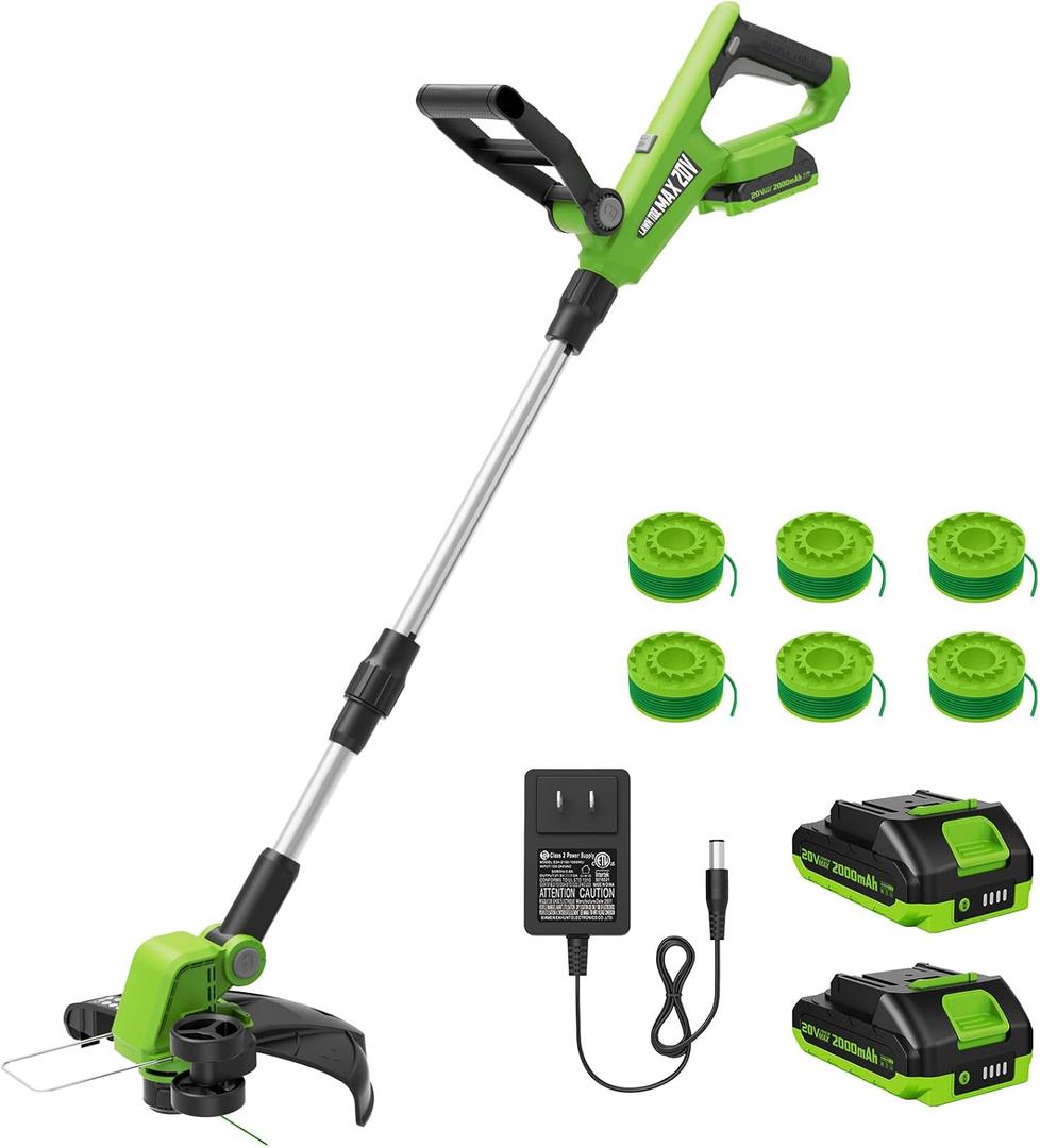 VARSK 20V String Trimmer Cordless, 12 Inch 2 in 1 Trimmer and Edger, Automatic Line Feed, Includes 2 X 2.0Ah Batteries/1 X Fast Charger/6 X Spare Spools, for Lawn, Garden, etc, Light Green