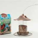 Wagner's 53002 Farmer's Delight Wild Bird Food with Cherry Flavor, 10-Pound Bag