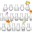 20 Pcs Mini Bud Vases Small Glass Vases for Flowers, Centerpieces, Party Decor Have Assorted Sizes Add a Touch of Elegance to Your Room