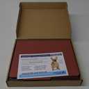 10 Red Classification Folders - 2 Divider - 2 Inch Tyvek Expansions - Durable 2 Prongs Designed to Organize Standard Medical Files, Law Client Files, Office Reports - Letter Size, Red, 10 Pack