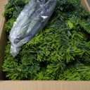 6.5ft Green Flocked Hinged Artificial Christmas Tree w/Metal Stand Green