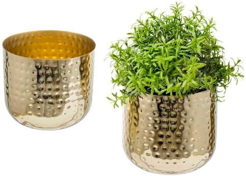 MyGift Modern Hammered Brass Plated Metal Planter Pots  Set of 2 Indoor Plant Containers, 6 & 5-Inch Cylindrical Metallic Planters  Handcrafted in India
