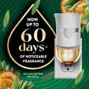 Air Wick Plug in Scented Oil Refill, 5ct, White Sage & Mahogany, Air Freshener, Essential Oils