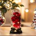 2 x 3 Blossoms Artificial Roses in Clear Dome with LED Lights Mother's Day Decorations - Preserved Flowers Fake Roses for Wedding Candlelight Dinner Anniversary