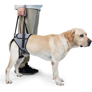 Dog Lift Harness, TORJOY Dog Sling for Small Medium Large Dogs, Dog Support Harness for Back Legs, Adjustable Soft Padded Pet Harness for Olderly, Injured, Arthritic, Disabled Dogs, Grey, S