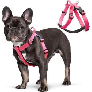 Pink Dog Harness for Small Dogs with Back Clip, Galaxy Reflective Vest