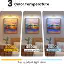 24" Picture Lights for Wall with 8000mAh Battery - Brass Operated Wireless Wall Art Light with Remote Control for Large Portrait & Paintings Art, 24IN 1Pack